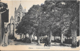 PIBRAC -  L'Eglise Et La Promenade - Pibrac