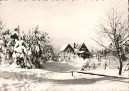 72091915 Altenberg Erzgebirge Waldschaenke Altes Raupennest Winterlandschaft Gei - Geising