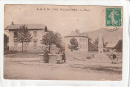 CPA :  14 X 9  -  PEILLONNEX  -  La  PLace - Peillonnex