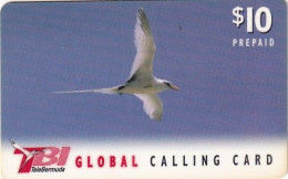 BERMUDA ISL. - Bird, TeleBermuda Prepaid Card $10(red Logo On Reverse), Used - Bermuda