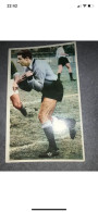 Carte  Postale Football (Miroir Sprint Couleur) Jean TAILLANDIER (gardien De But - Soccer