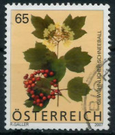 ÖSTERREICH 2007 Nr 2680 Gestempelt X2EA71E - Gebruikt