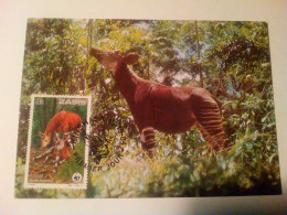 Carte Postale Premier Jour, WWF Zaire, Okapi - 1980-1989