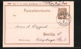 Vorläufer-AK Packetfahrtkarte, 1895, Private Stadtpost Berlin  - Sellos (representaciones)