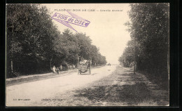 CPA Plage Du Bois De Cise, Grande Avenue  - Bois-de-Cise