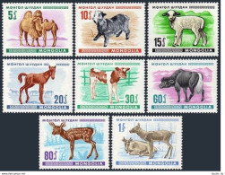 Mongolia 467-474,MNH.Michel 482-489. Bactrian Camels,Yak,Lamb,Foal,Deer,Reindeer - Mongolia