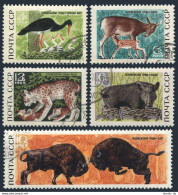 Russia 3640-3644,CTO.Mi 3667-3771. Black Stork,Red Deer,fawn,bison,pig.1969. - Usados