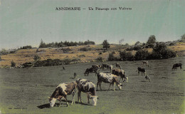 74-ANNEMASSE-N 611-A/0171 - Annemasse