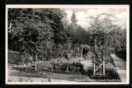 AK Offenburg I. Baden, In Den Georg Monsch-Anlagen  - Offenburg