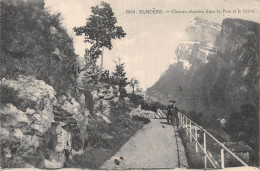 74-SAMOENS-N°5175-E/0025 - Samoëns