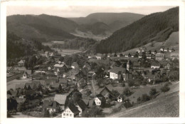 Schenkenzell Schwarzwald - Rottweil