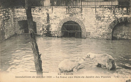 E559 PARIS Inondations 1910 La Fosse Aux Ours - Überschwemmung 1910