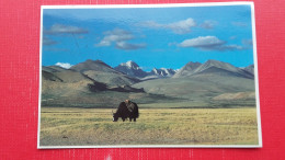 Grazing Yak In Far Western Tibet.Nepal Stamp - Tibet