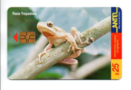 Grnoiille Frog  Rana Trepadora  Télécarte Uruguay Phonecard  Telefonkarte (K 496) - Uruguay