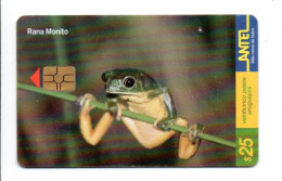 Grnoiille Frog Rana Monito  Télécarte Uruguay Phonecard  Telefonkarte (K 498) - Uruguay