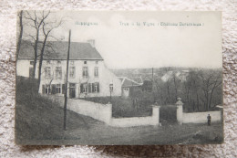 Heppignies "Trou à La Vigne (Château Dorémieux)" - Fleurus