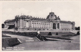 Belgique CP Tervuren Musée Du Congo - Musei