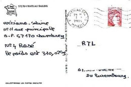 France & Marcofilia, Souvenir De Chateau Salins, Grand Duchy Of Luxembourg 1980 (57170) - Covers & Documents