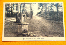 BRULY-de-PESCHES  -  Fontaine St-Meen - Couvin