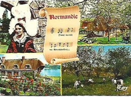 France & Marcofilia, Ma Normandie, Chanson De Frédéric Bérat, Multi, Grandcamp-Maisy A Merksem Belgique 1982 (687) - Souvenir De...