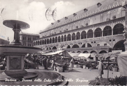 Cartolina Padova - Piazza Delle Erbe - Sala Della Ragione - Padova (Padua)