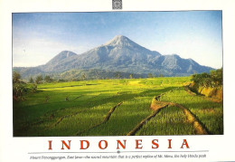 *CPM  - INDONESIE - JAVA - Mont Penanggungan - Indonésie