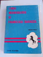 L'IDEA MERAVIGLIOSA DI FRANCESCO BARACCA - Italiaans