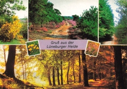 ALLEMAGNE - GruB Aus Der Luneburger Heide - Multi-vues - Paysages - Fleurs - Carte Postale Ancienne - Lüneburger Heide