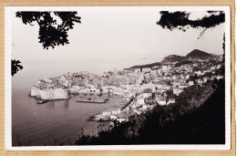 2233 / DUBROVNIK Croatia Yougoslavia 1950s Foto Special - Jugoslawien