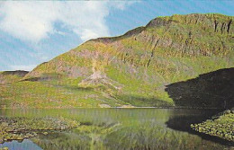 AK 213732 WALES - Cader Idris - Foxes Parh - Sonstige & Ohne Zuordnung