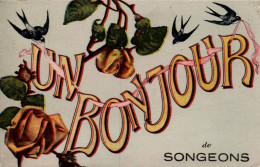 N°3642 W -cpa  Une  Bonjour De Songeons- - Songeons