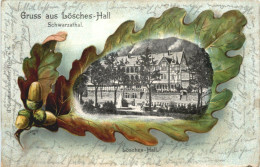 Gruss Aus Lösches-Hall Schwarzathal- Litho - Saalfeld