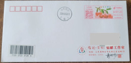 China Cover "Yantai Big Cherry" (Yantai) Colored Postage Machine Stamp First Day Actual Shipping Seal - Enveloppes