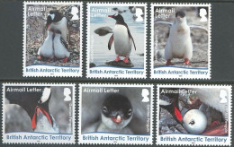 ARCTIC-ANTARCTIC, BRITISH ANTARCTIC T. 2016 PENGUINS** - Antarctische Fauna