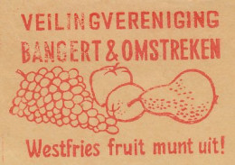 Meter Cut Netherlands 1961 Grapes - Apple - Pear - Fruit