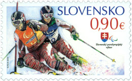 557 Slovakia Winter Paralympic Games Sotchi 2014 Skiing - Hiver 2014: Sotchi