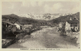 TARCENTO -  VEDUTA PREALPI DAL  PONTE SUL TORRE -  1929 - Udine
