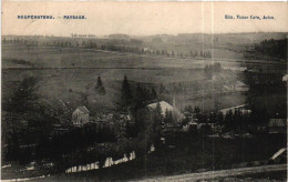 NEUFCHATEAU / PAYSAGE 1910 - Neufchâteau