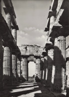 Temple Of Neptune Interior, Paestum, Italy. Real Photo. Unposted - Salerno