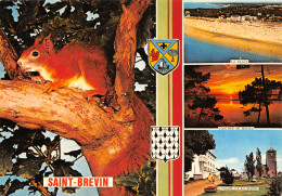 44-SAINT BREVIN-N°T2719-A/0129 - Saint-Brevin-l'Océan