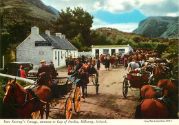 Irlande - Kerry - Killarney - Kate Kearney's Cottage, Entrance To Gap Of Dunloe - Chevaux - Carte Neuve - Ireland - CPM  - Kerry