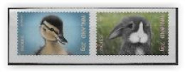 Norvège 2023 Série Neuve Animaux - Unused Stamps