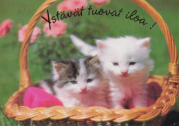 Postal Stationery - Cats - Kittens In The Basket - Red Cross 1994 - Suomi Finland - Postage Paid - Ganzsachen