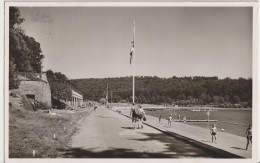 AK Kaiserslautern-Hohenecken, Gelterswoog, Badestelle 1953 - Kaiserslautern