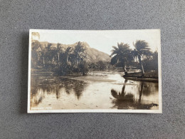 Kapiolani Park Carte Postale Postcard - Honolulu