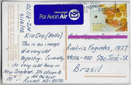 New Zealand 2013 Priority Postcard Sent To São José Brazil Stamp Honeybee Honey Bee Insect - Briefe U. Dokumente