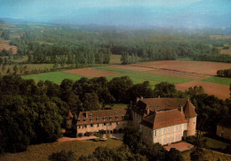 RECTO/VERSO - CPA - BRANGUES - VUE AERIENNE PLONGEANTE DU CHATEAU ET DES CHAMPS - Brangues