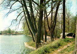 RECTO/VERSO - CPSM - LE QUESNOY - PROMENADE AU BORD DE L'ETANG - Le Quesnoy