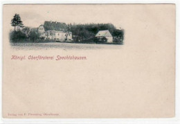39029121 - Spechtshausen Mit Koenigl. Oberfoersterei. Ungelaufen Um 1900 Ecken Mit Albumabdruecken, Sonst Gut Erhalten. - Bannewitz