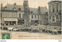 FERE CHAMPENOISE TROUPEAU DE MOUTONS  ET SUCCURSALE DU FAMILISTERE EDITION FERRAND RADET - Fère-Champenoise